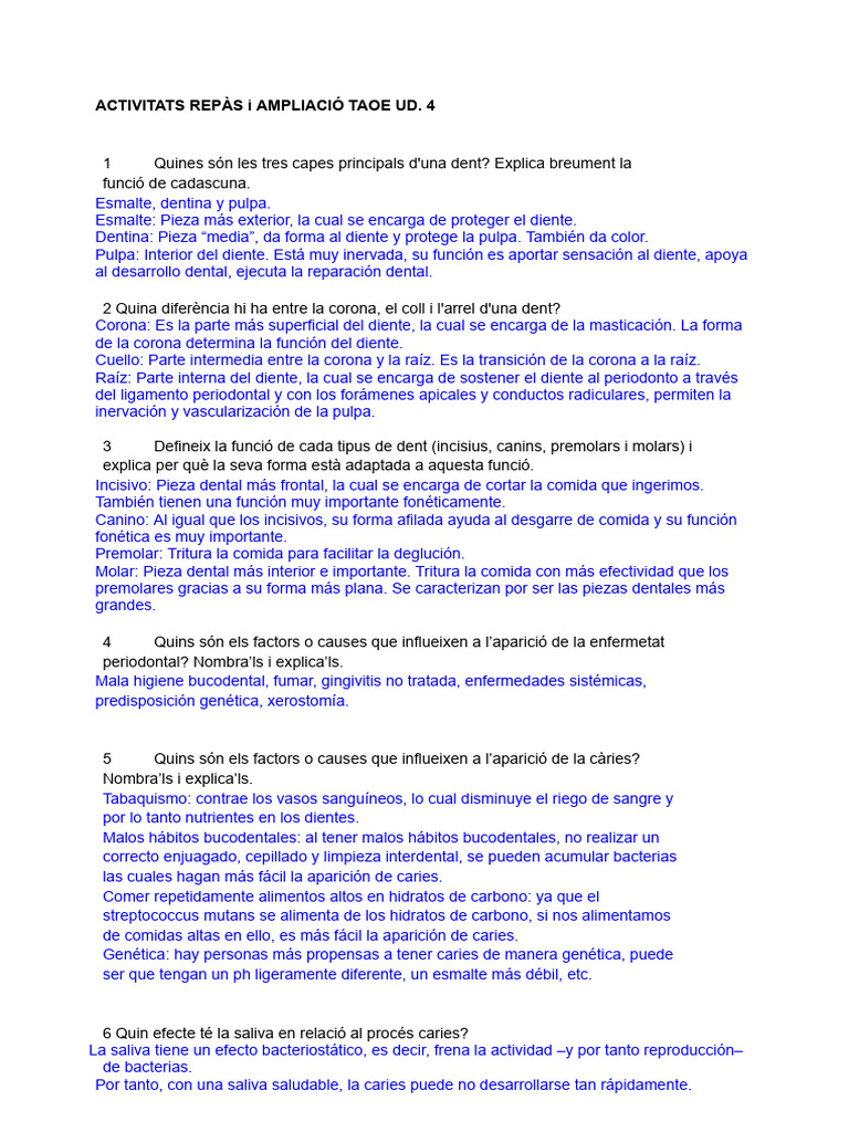 Activitats Repàs I Ampliació Taoe Ud. 4 | PDF | Diente | Anatomia dental