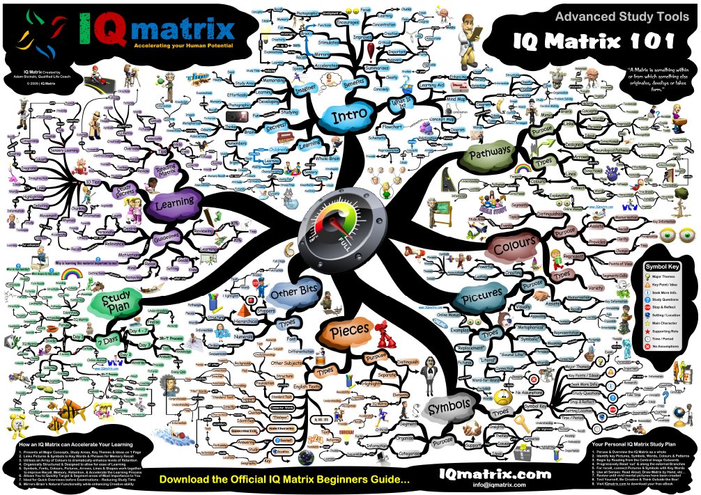 IQ Matrix 101 | PDF