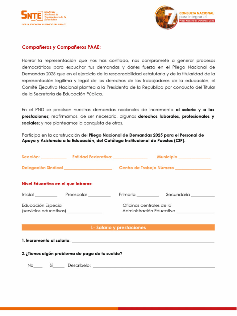 Formato PAAE | PDF