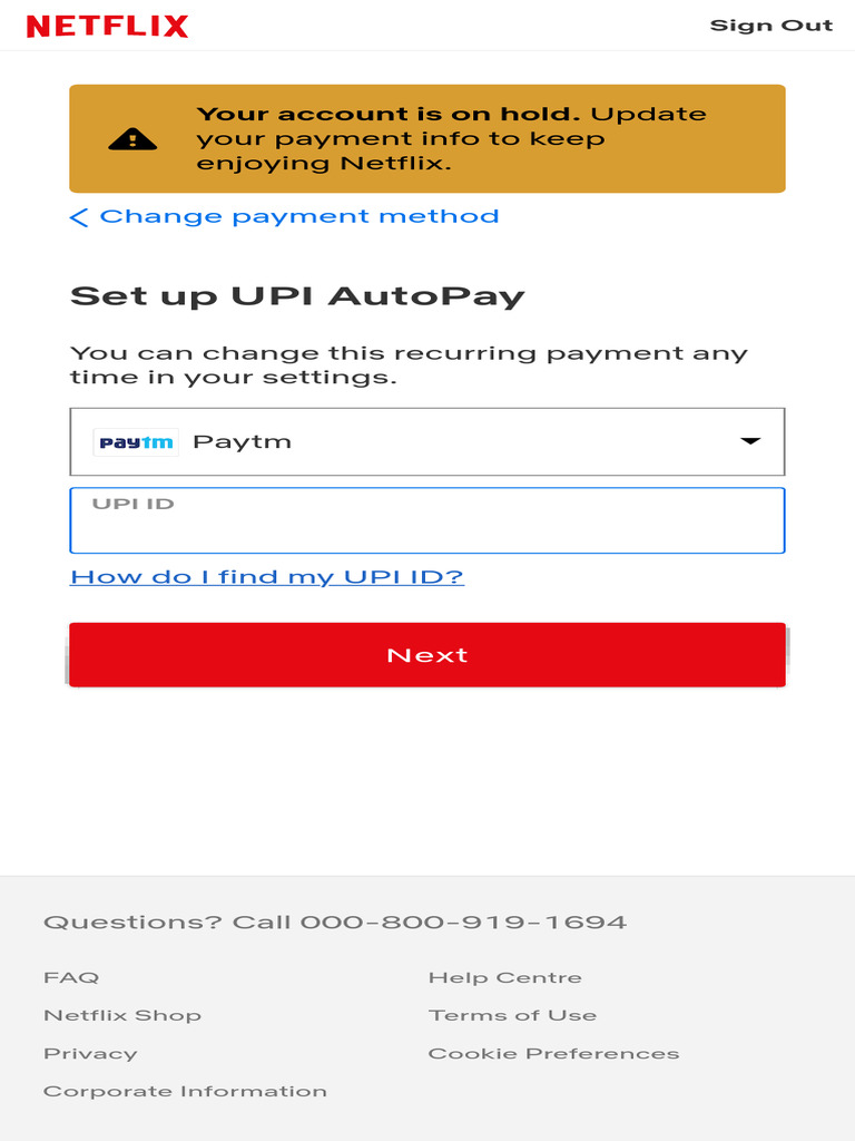 Netflix Account Payment Update Needed | PDF