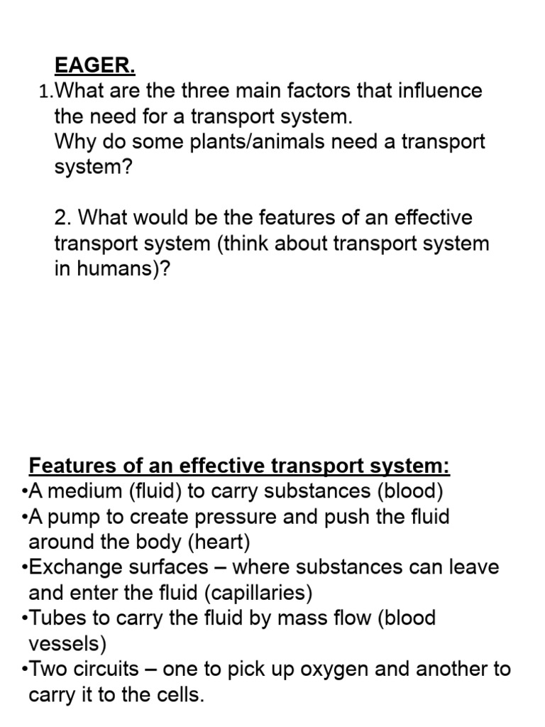 transport in animals | PDF | Circulatory System | Blood