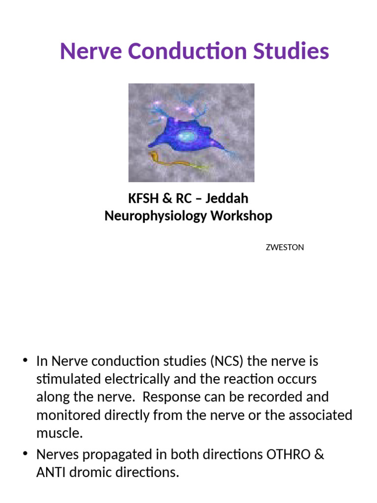 2 Nerve Conduction Studies QA | PDF