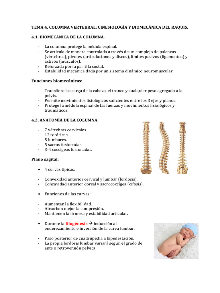 Biomecánica y Anatomía de la Columna Vertebral | PDF | La columna ...