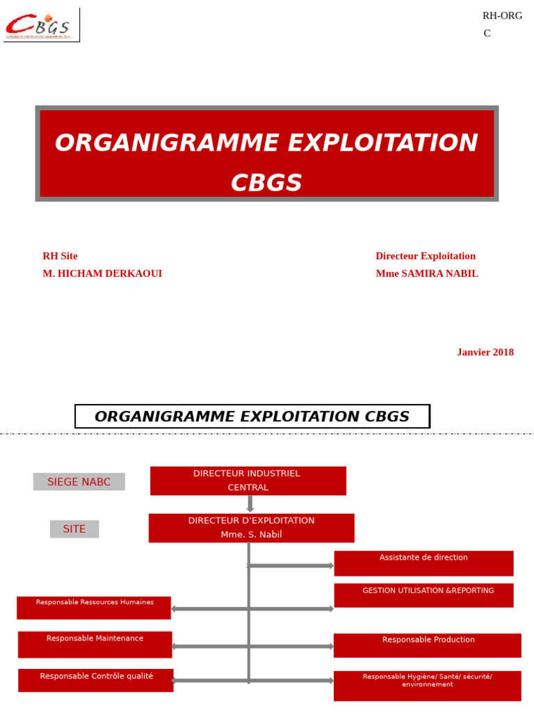 Organigramme Exploitation CBGS | PDF | Business | Direction