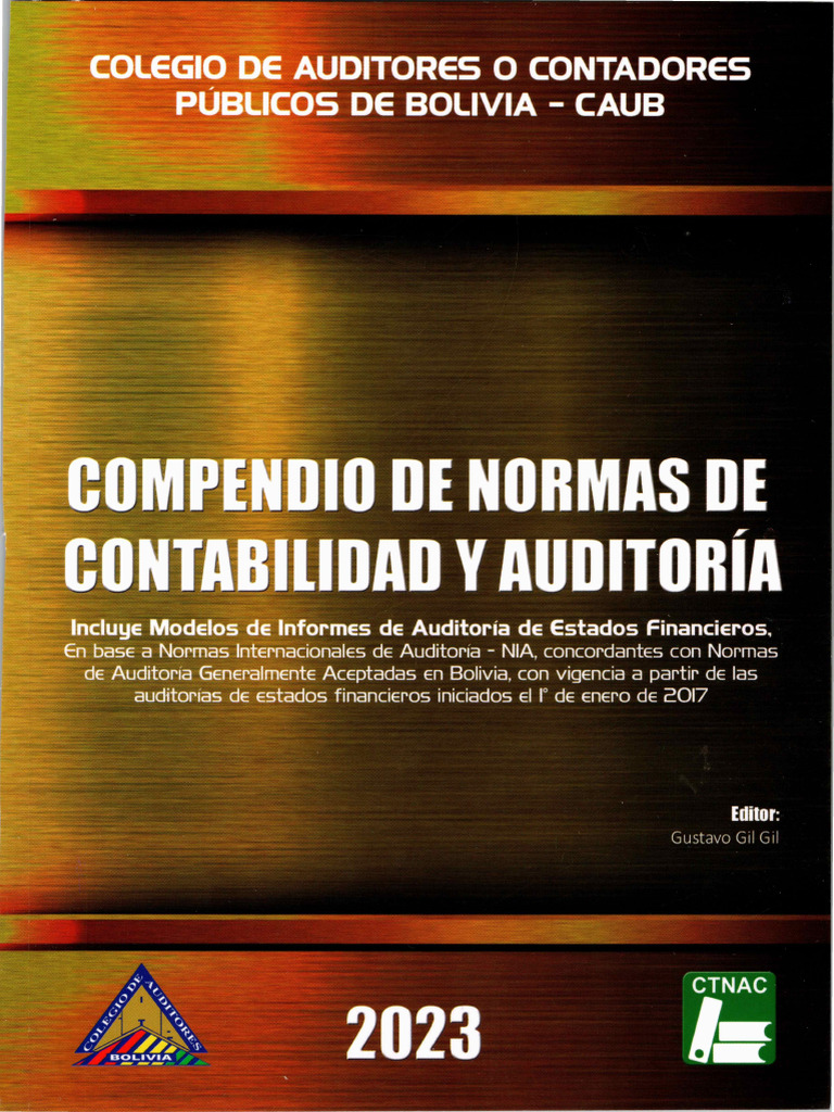 Compendio de Normas de Contabilidad y Auditor-A | PDF