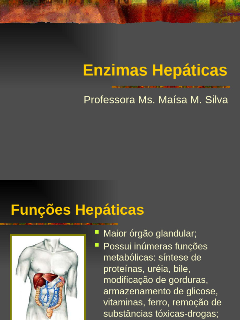 Enzimas Hepáticas e Hepatites: Funções e Diagnóstico | PDF | Hepatite ...