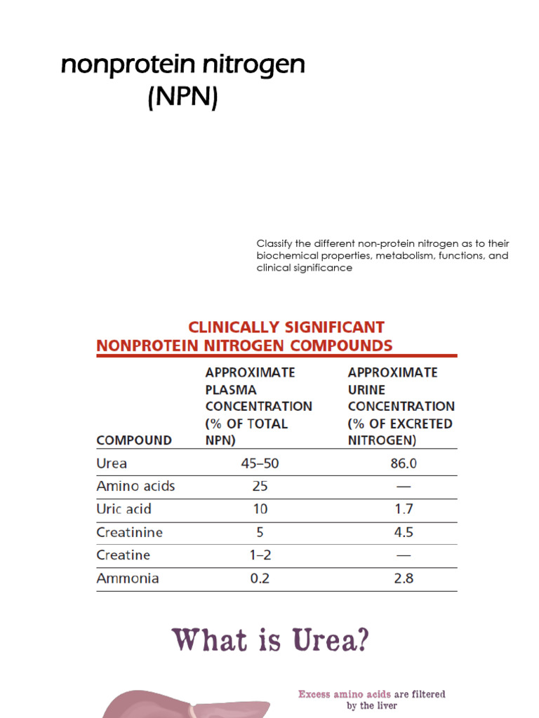 Crea BUN BUA Student | PDF | Creatinine | Kidney