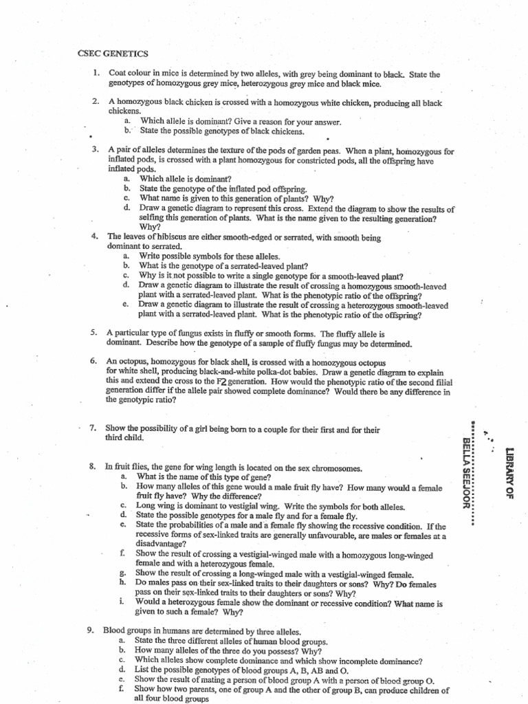 Csec Crosses | PDF