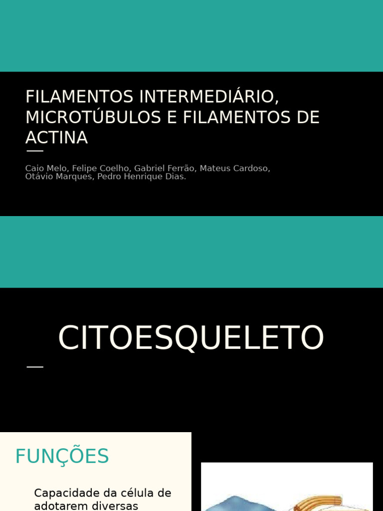 Funções dos Filamentos Intermediários | PDF | Microtúbulo | Célula ...