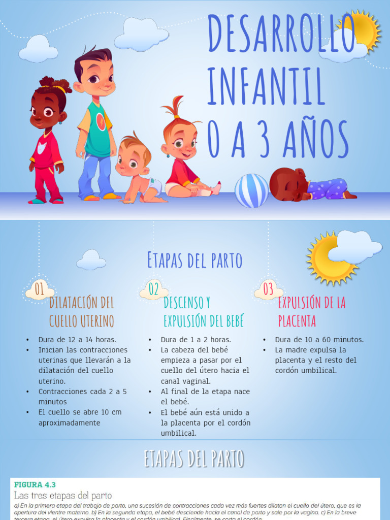 2PNA Desarrollo Físico y Motriz 0 a 3 | PDF | Parto | Hemisferio cerebral