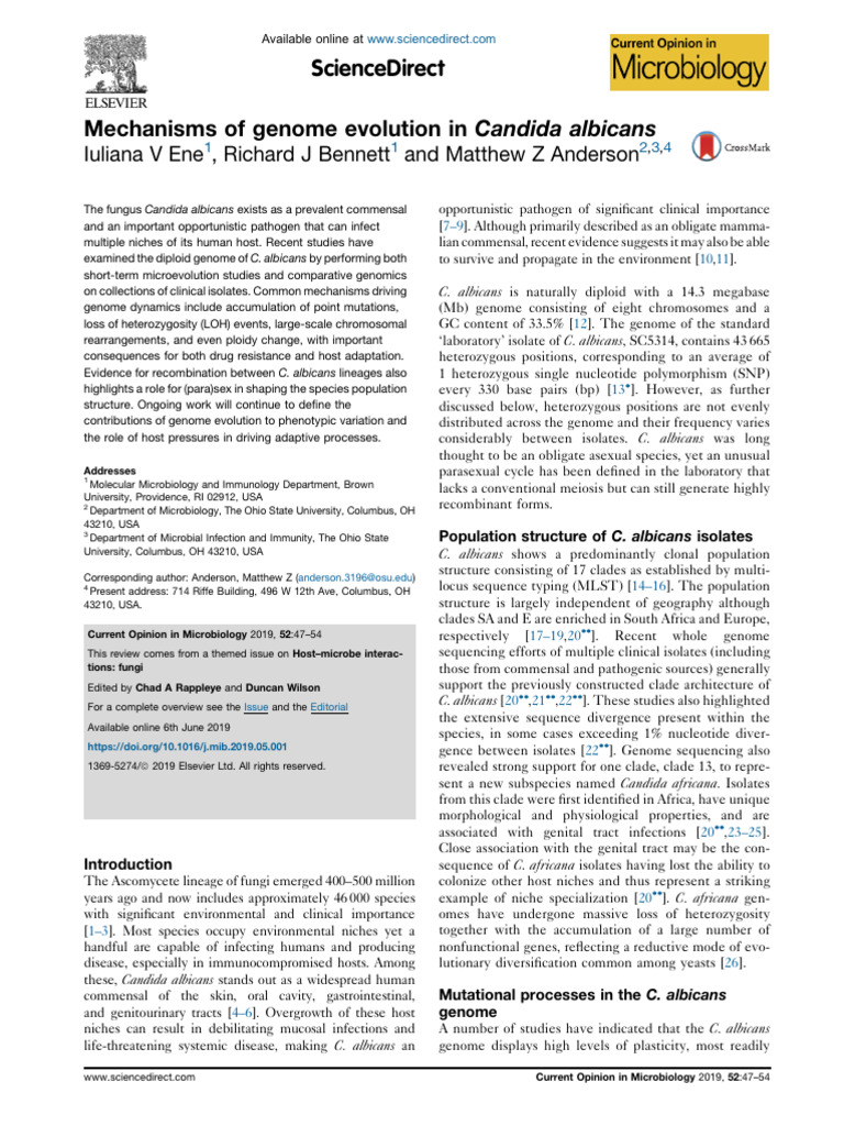 Mechanisms of Genome Evolution in Candida Albicans | PDF | Mutation ...