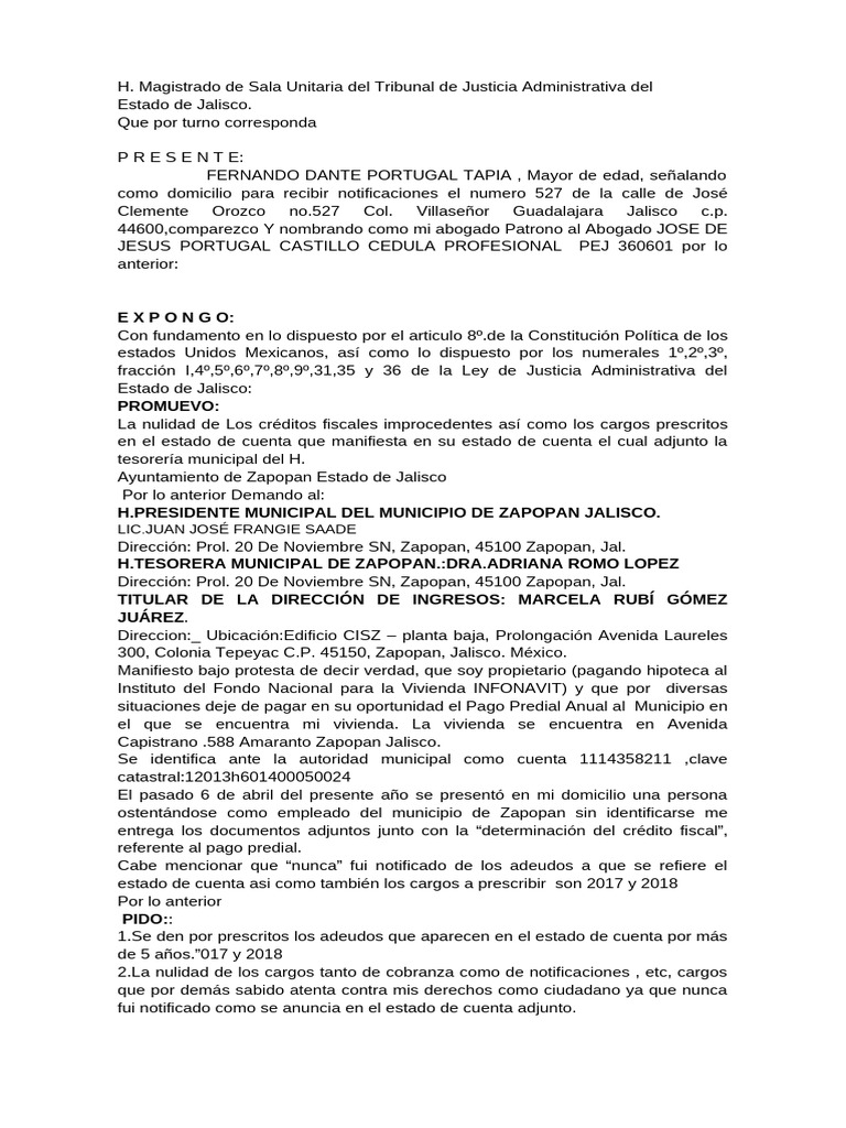 Demanda de Nulidad | PDF | Ley Pública | Justicia