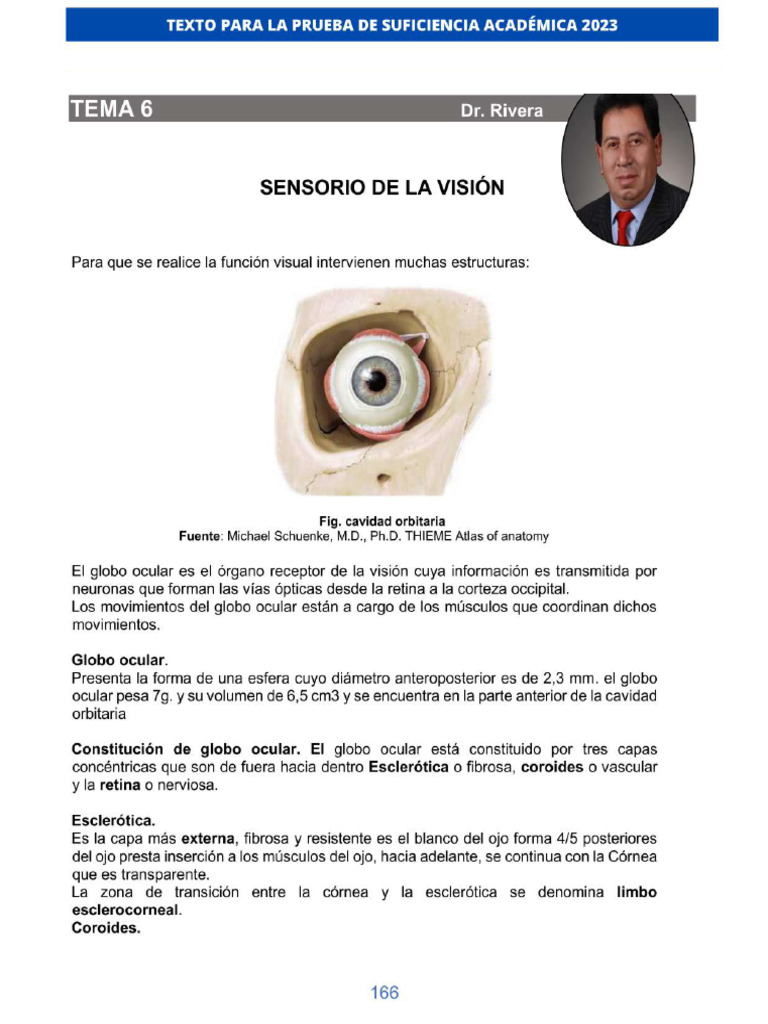 Sensorio de La Vision | PDF