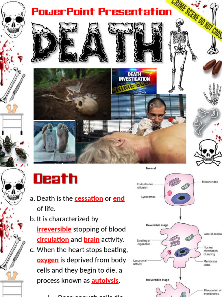 Forensic Stages of Decomposition | PDF