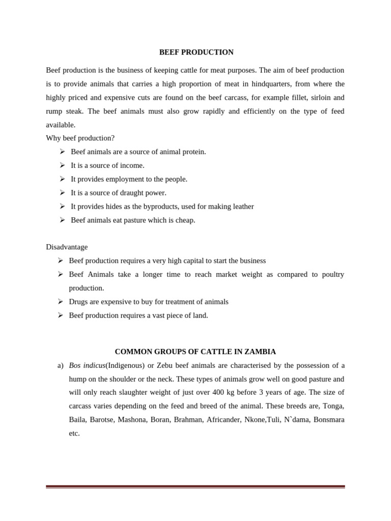 Beef Production Overview in Zambia | PDF | Cattle | Bull