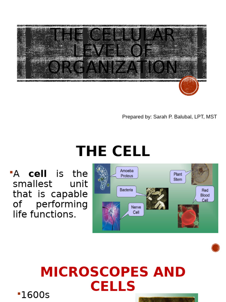 Understanding Cellular Organization | PDF | Cell (Biology ...