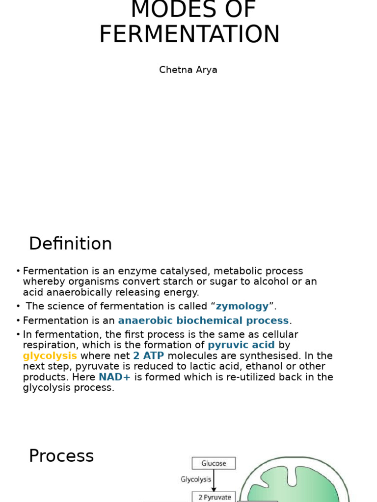 Presentation (7) | PDF | Fermentation | Metabolism
