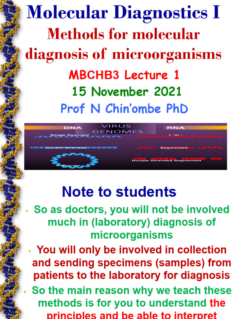 Molecular Diagnostics Lecture | PDF | Gel Electrophoresis | Polymerase ...