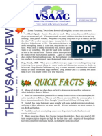 VSAAC November 2011 Newsletter