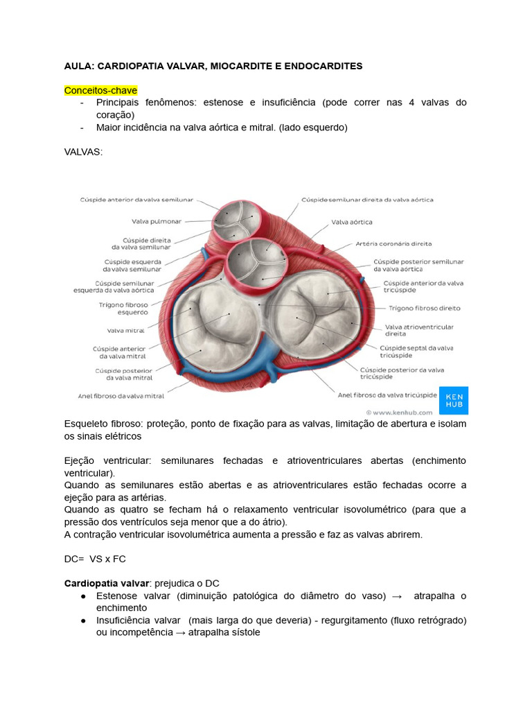 Aula Cardiopatia Valvar, Miocardites e Endocardites | PDF | Ventrículo ...