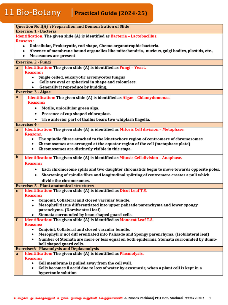 11th EM Bio Botany Practical Notes New 2024-25 | PDF | Mitosis | Chromosome