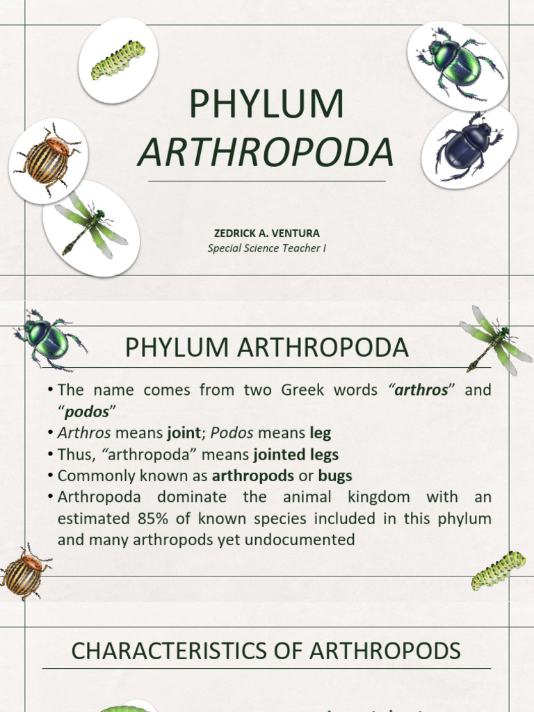 6.09 Kingdom Animalia Arthropoda | PDF | Crustacean | Insects
