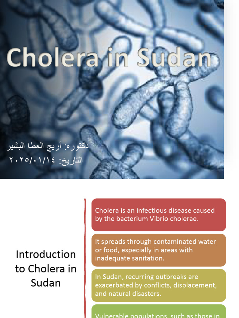 Cholera Outbreaks in Sudan: Causes & Impact | PDF | Cholera | Immunology