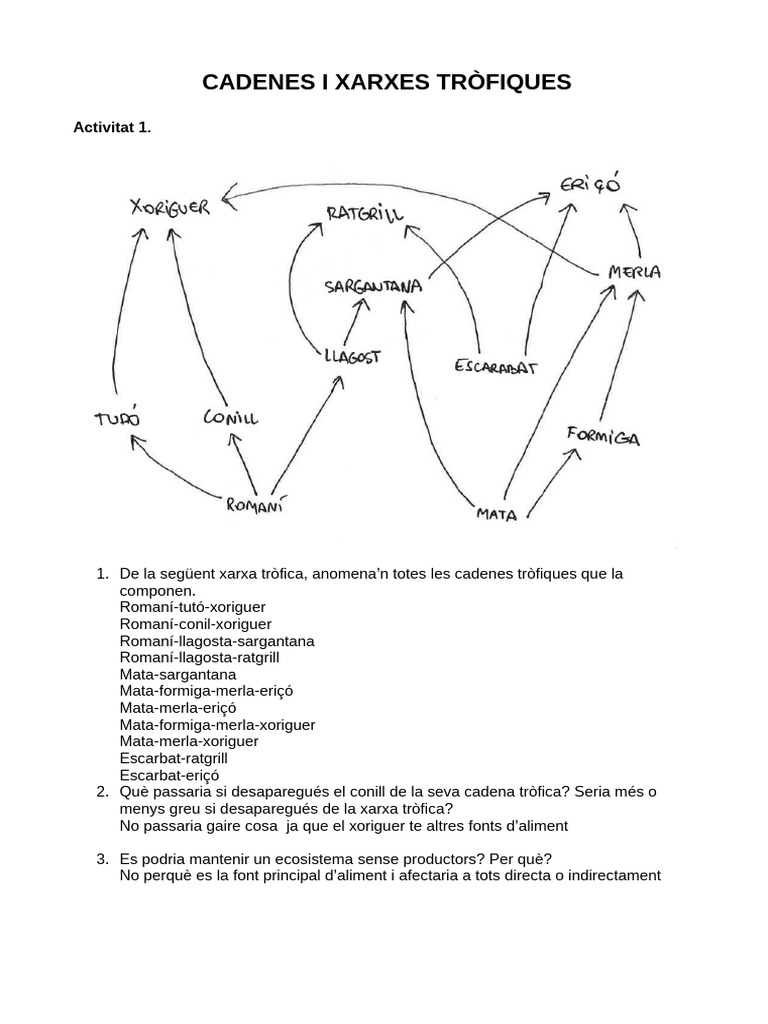 Activitat 4. Xarxes Tròfiques | PDF