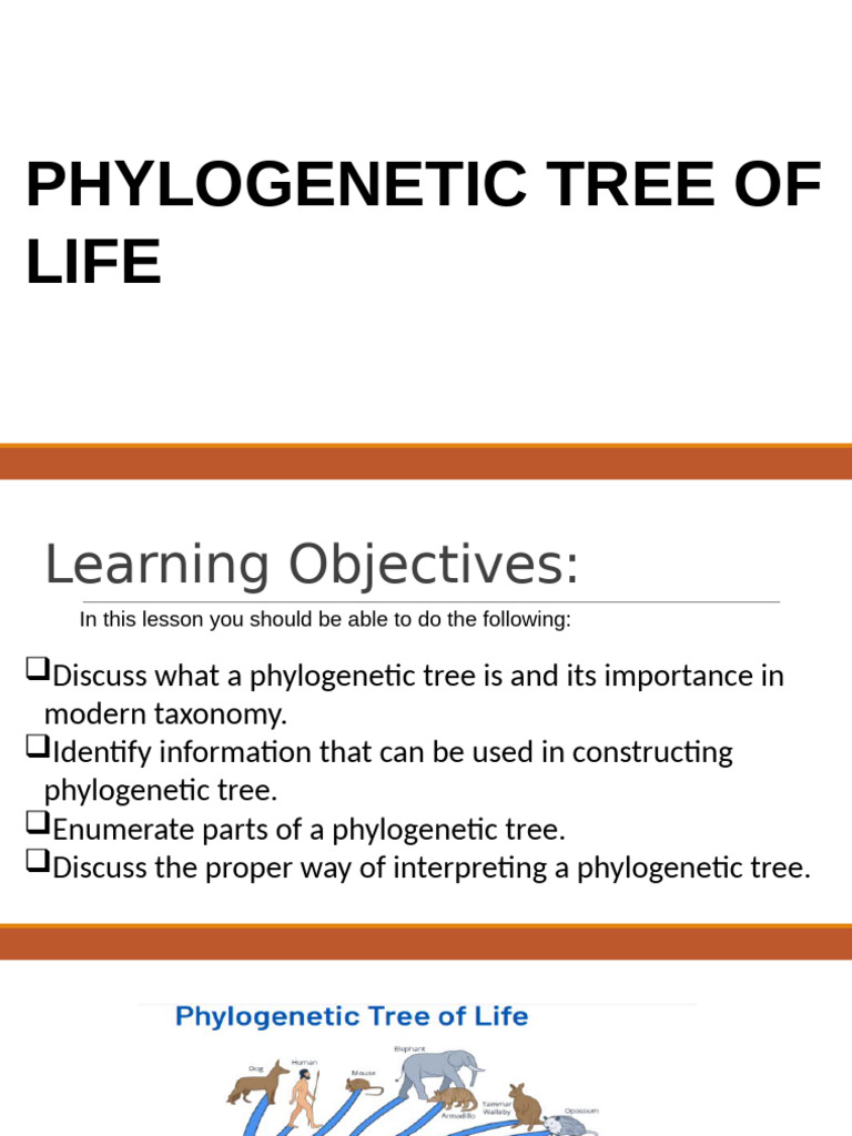 Taxonomic Concepts and Principles | PDF | Phylogenetics | Phylogenetic Tree