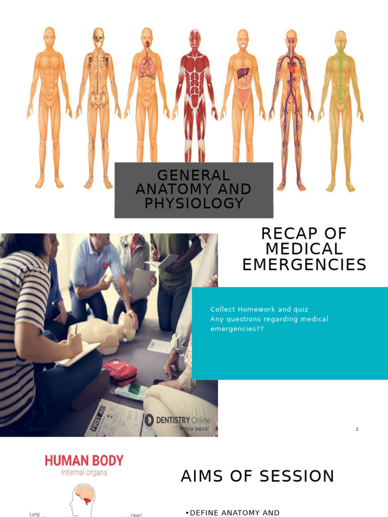 General Anatomy and physiology | PDF | Blood | Human Body