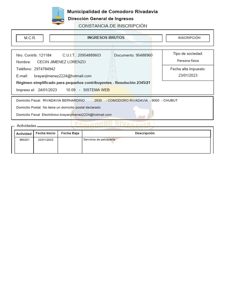 Cecin Jimenez Constancia Iibb | PDF