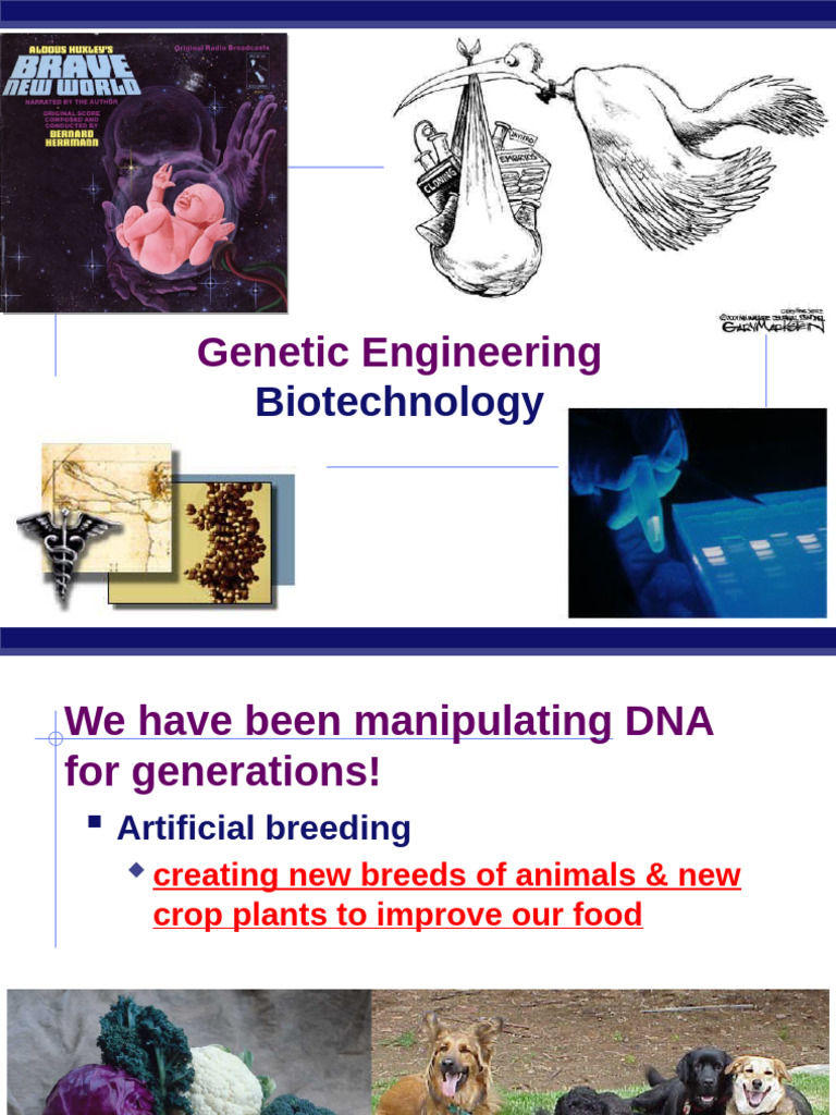 Genetic Engineering in Biotechnology | PDF | Plasmid | Dna