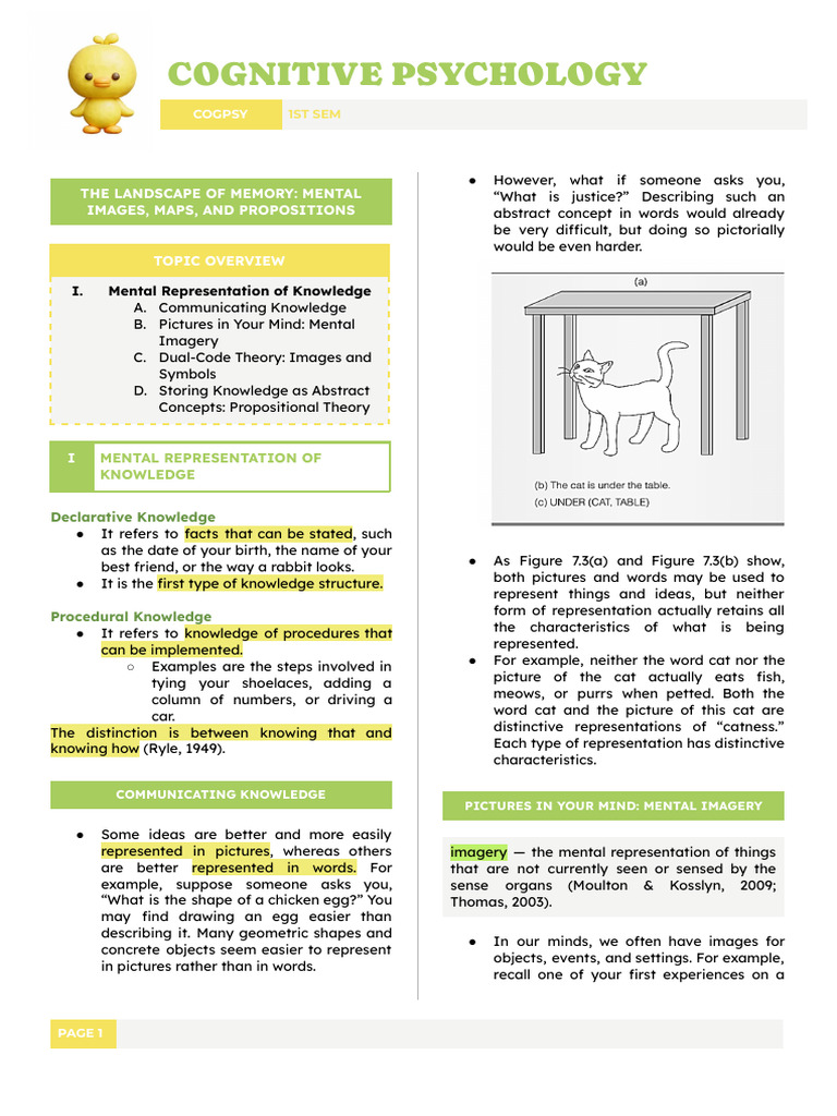 Mental Representation in Cognitive Psychology | PDF | Knowledge | Concept