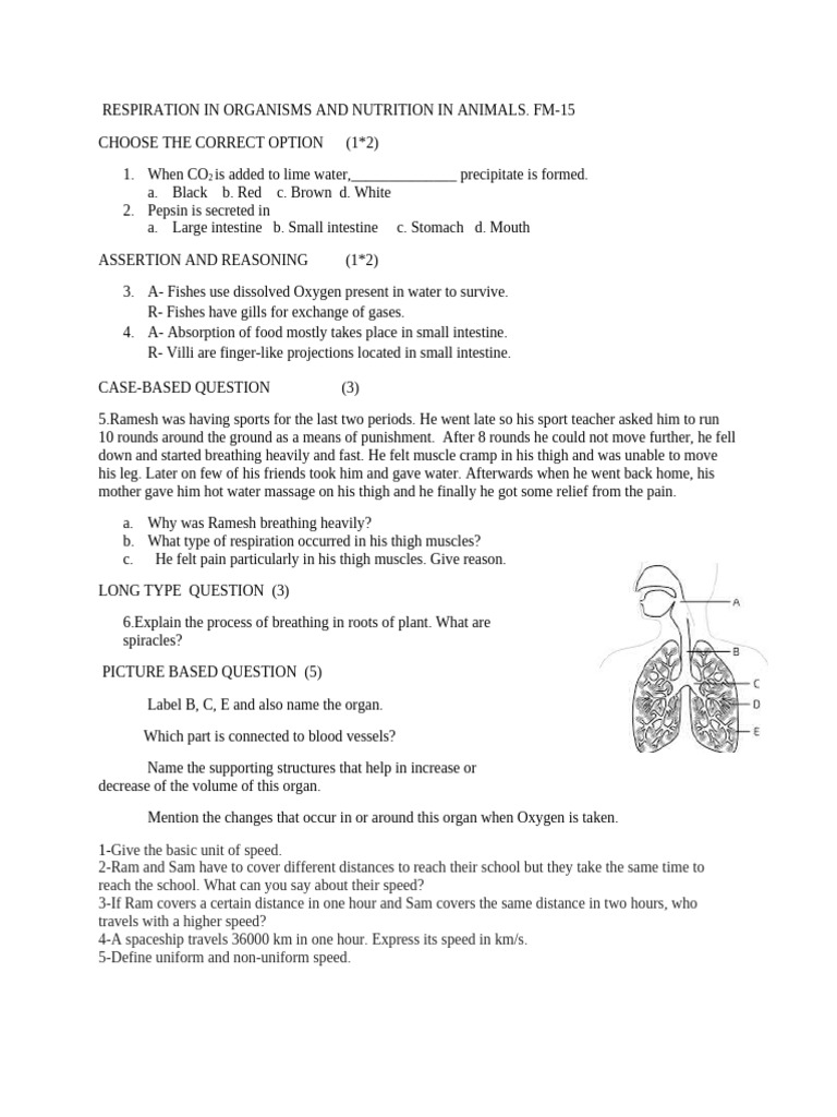 Respiration & Nutrition Quiz | PDF
