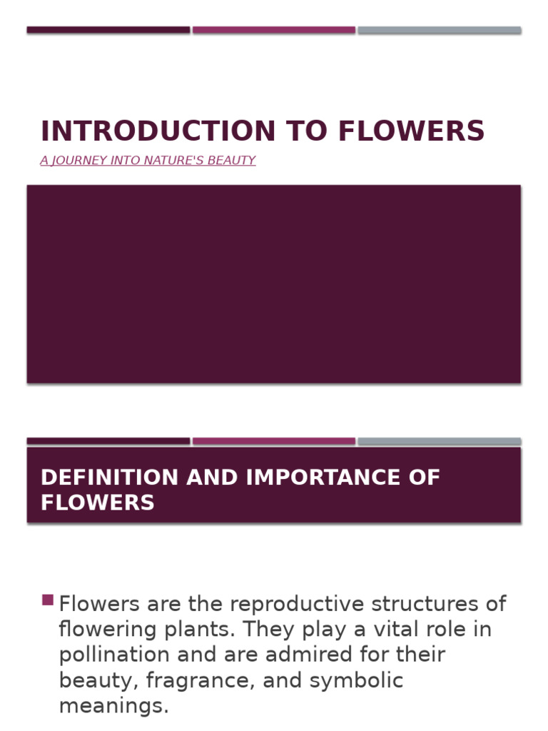 Understanding Flowers: Types & Significance | PDF