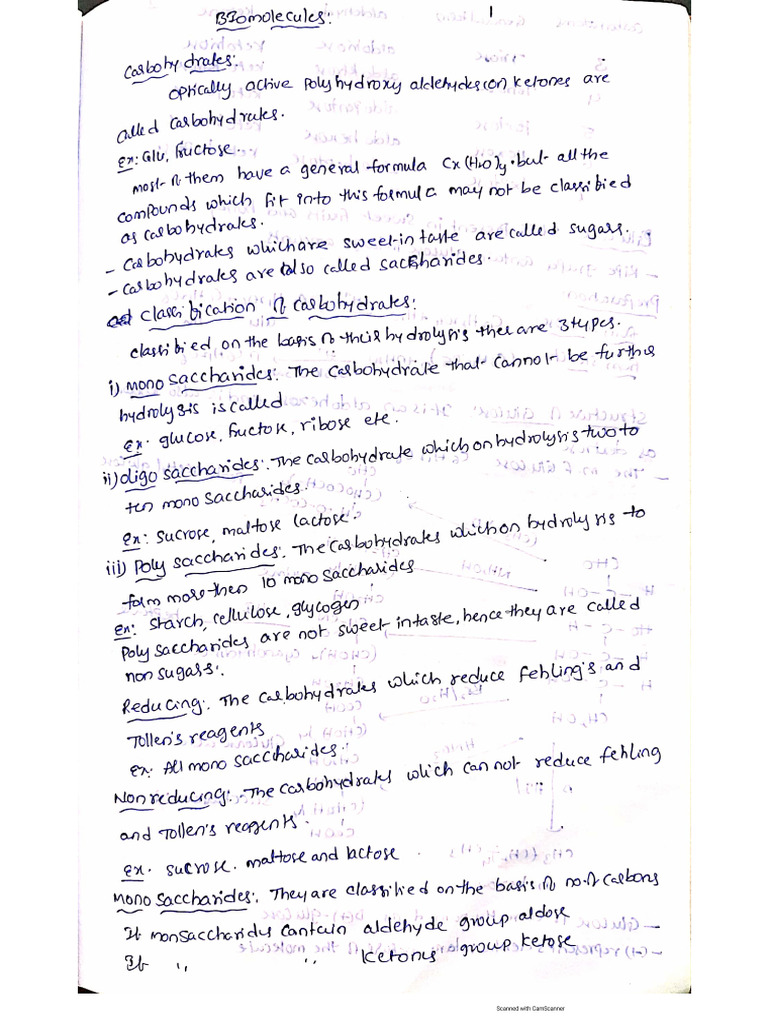 Biomolecules Class Notes | PDF