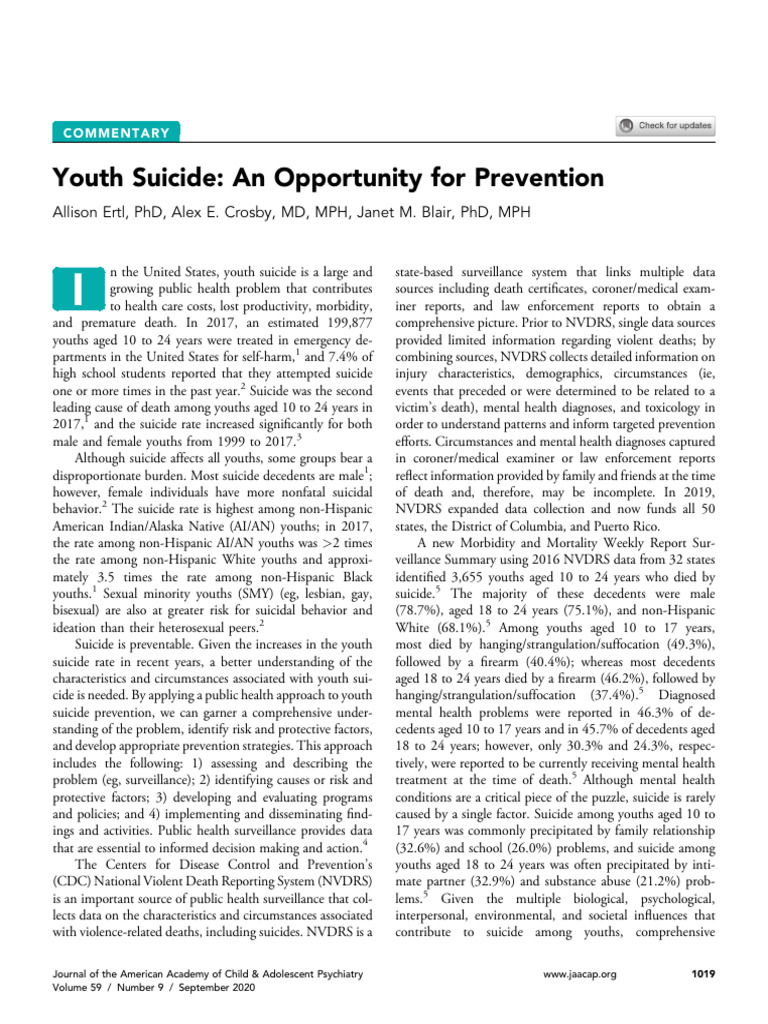 Youth Suicide Prevention Strategies Pdf Mental Health Suicide
