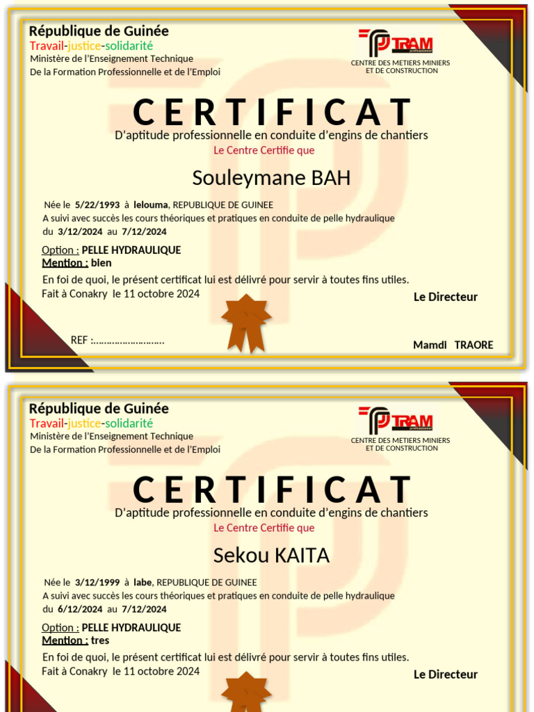 Certificat d'aptitude en conduite d'engins | PDF | Guinée ...