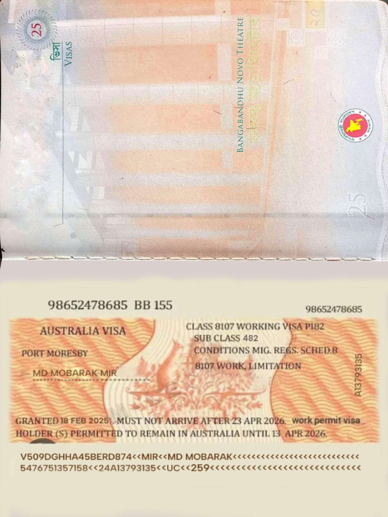 VISA | PDF