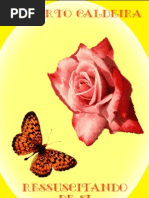 Auto-Ajuda-Roberto Caldeira-Ressuscitando de Si Mesmo