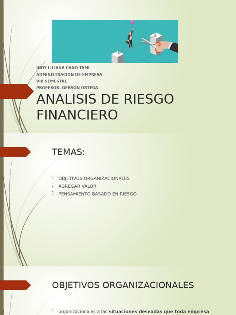 Análisis De Riesgo Financiero Empresarial Pdf Economias