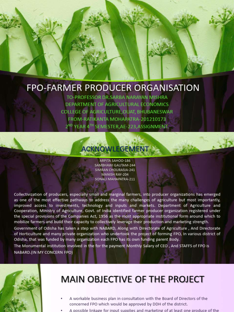 FPO Development and Future Prospects | PDF | Agriculture | Food Industry