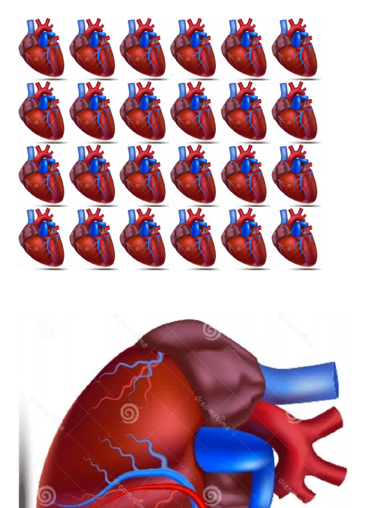 Corazon | PDF