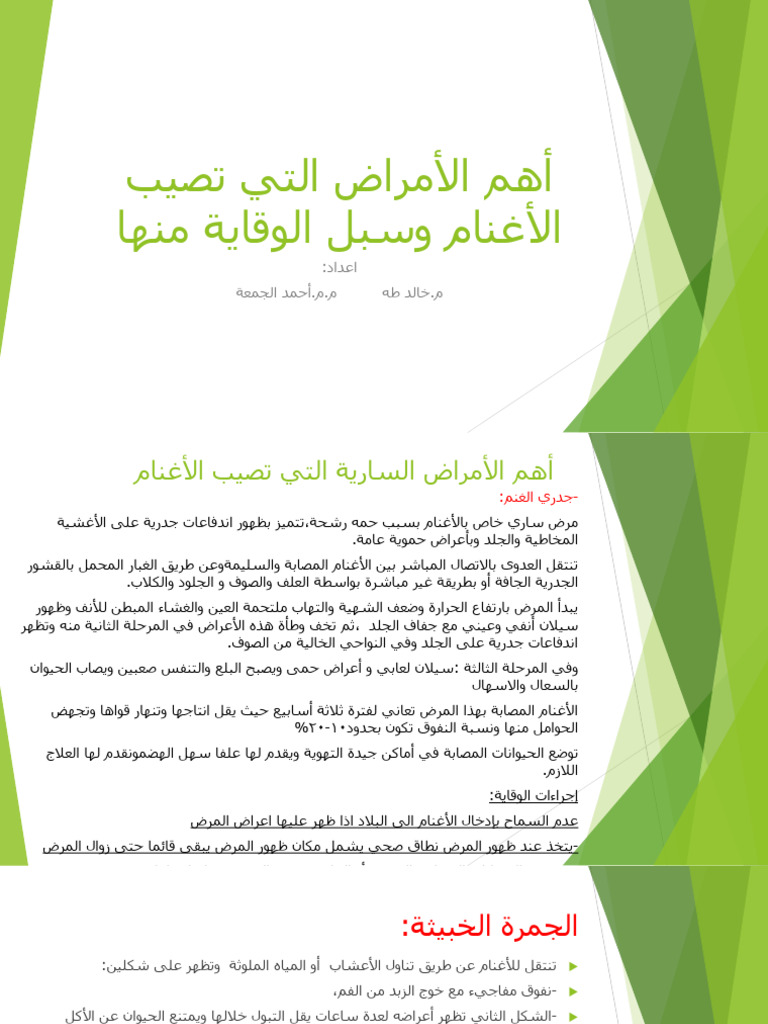 الأمراض التي تصيب الأغنام وسبل الوقاية منها | PDF