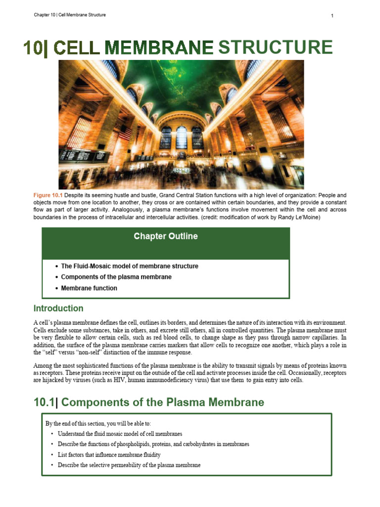 College Biology Chapter 10 Cell Membrane Structure | PDF | Cell ...