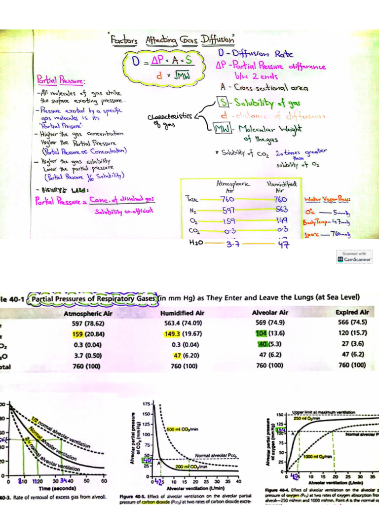 Physiology Chapter 40 | PDF