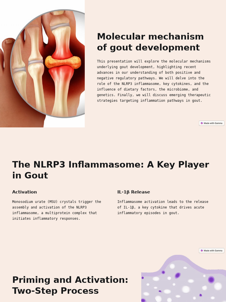 Gout: Molecular Mechanisms & Therapies | PDF | Gout | Inflammation