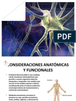 Clase 2 Sistema Nervioso en General