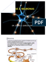 Clase 3 La Neurona