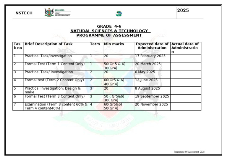 Grade 6 NST Assessment Plan 2025 | PDF